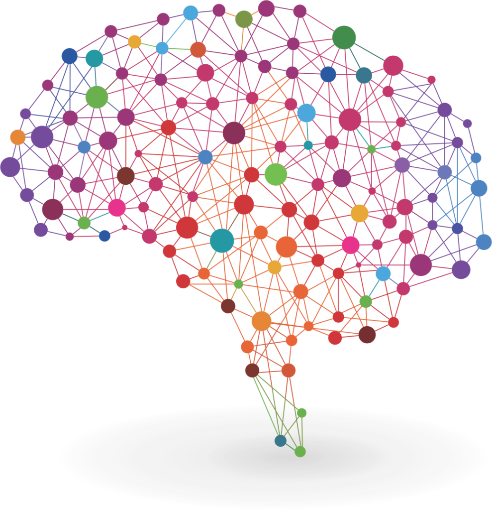 Brain network for Consumer Neuroscience